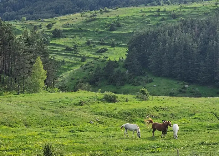 вира Pensjonat 3*